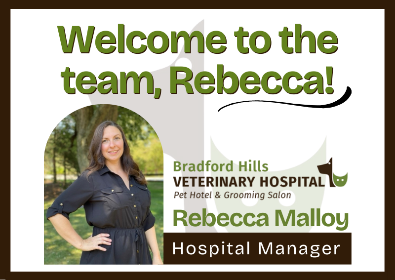 Carousel Slide 3: Welcome Hospital Manager, Rebecca!