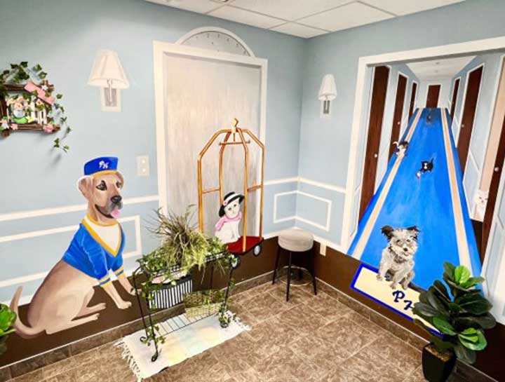 Doggie Daycare