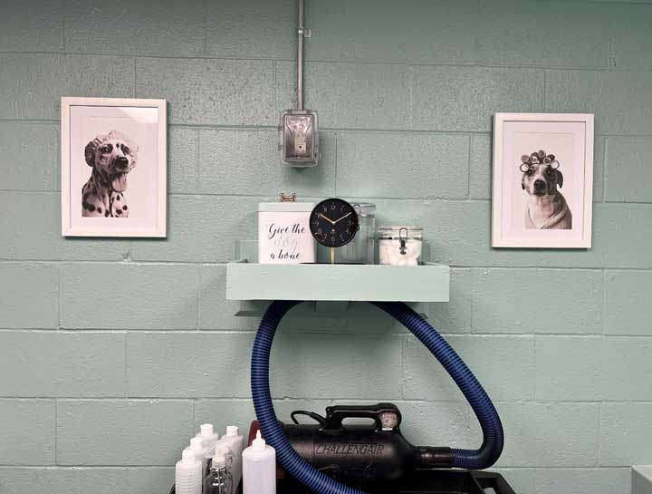 Pet Groomers