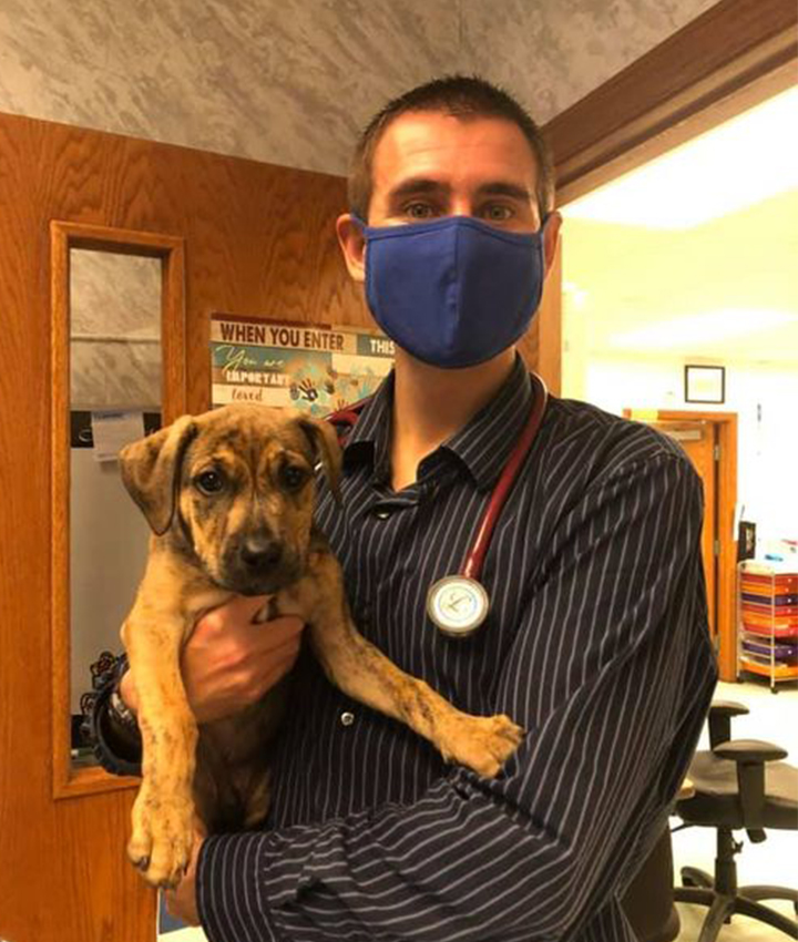 Dr. Timothy Bell, DVM